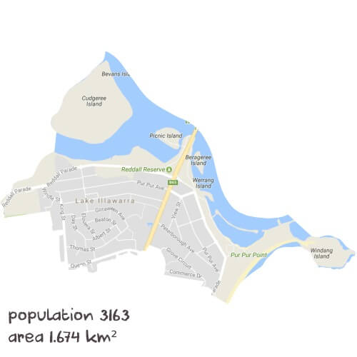 Info Processing Tutoring Near Me